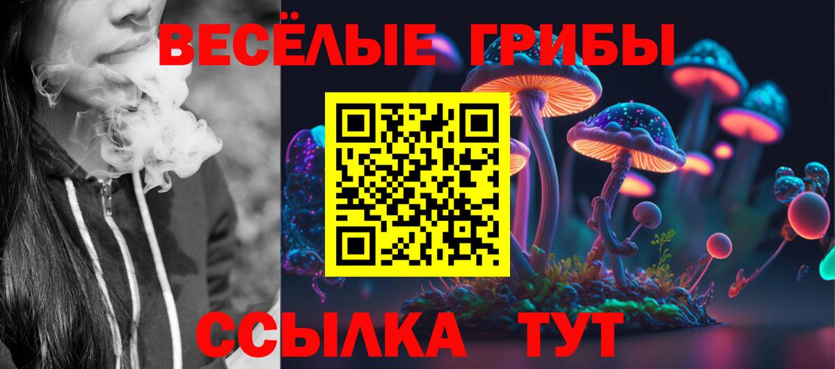 Георгиевск  Галлюциногенные грибы Psilocybine cubensis  Вход с VPN  Галлюциногенные грибы MAGIC MUSHROOMS 