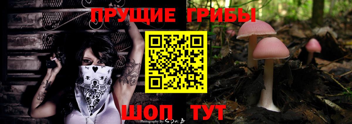 Галлюциногенные грибы ЛСД Георгиевск